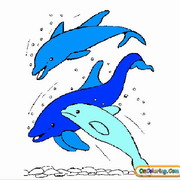 Obrázek, online omalovánka pro malé děti k vybarvení Delfín, Zvířátka Obrázky vytisknutí zadarmo.