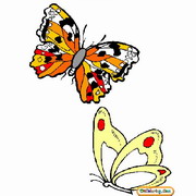 Obrázek, online omalovánka pro malé děti k vybarvení Motýli, Zvířátka Obrázky vytisknutí zadarmo.