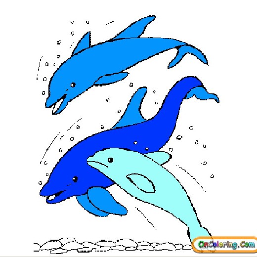 Obrázek, online omalovánka pro malé děti k vybarvení Delfín, Zvířátka Obrázky ke stažení a vytištění zdarma.