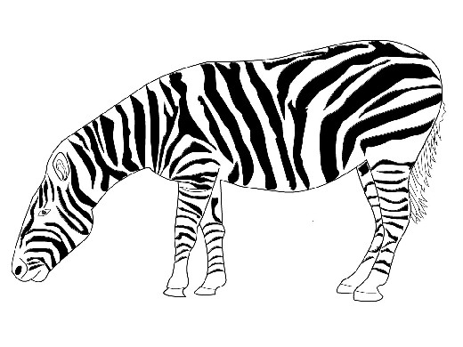Obrázek, online omalovánka pro malé děti k vybarvení Zebra, Zvířátka Obrázky ke stažení a vytištění zdarma.